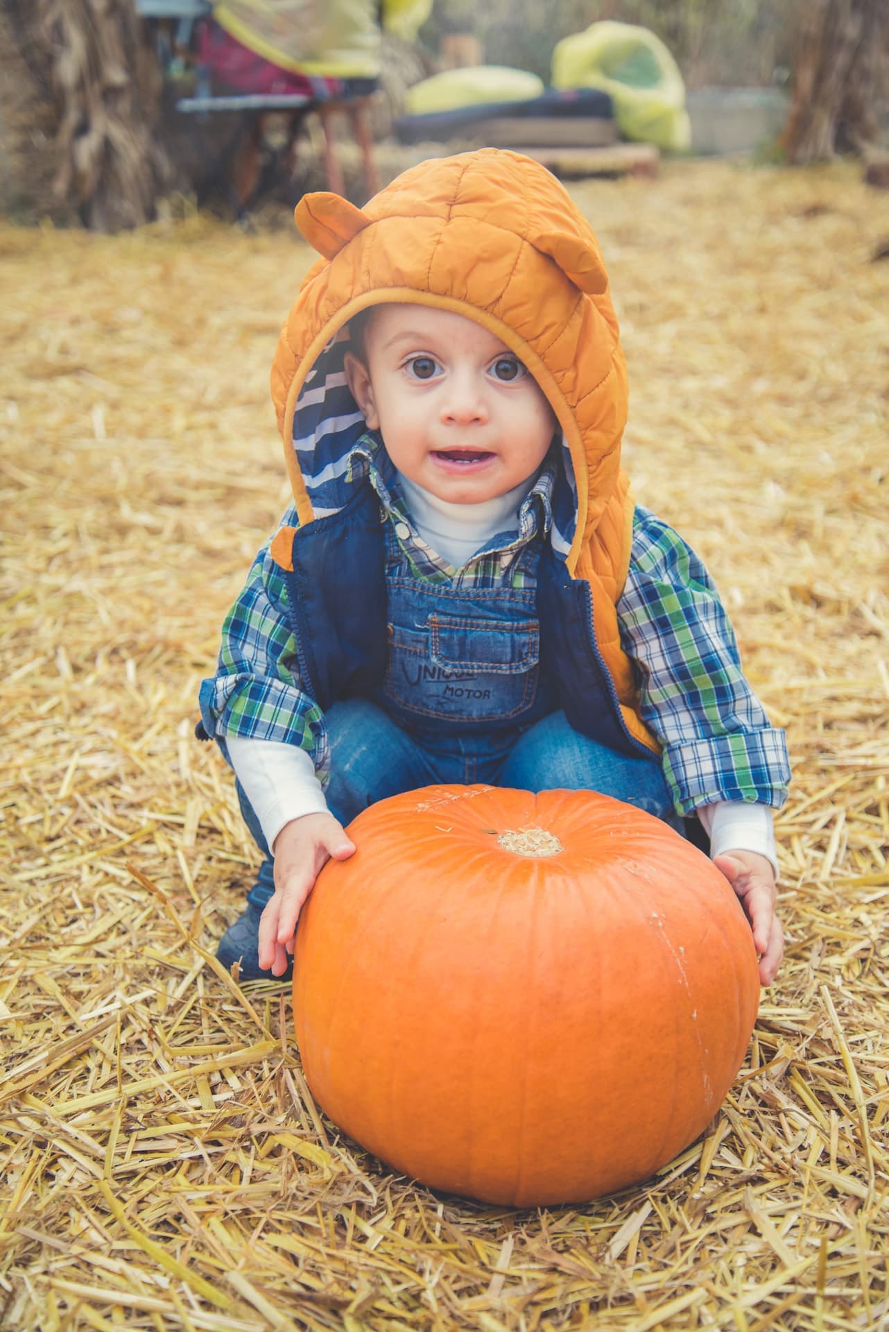 bambino zucca nonno andrea leone