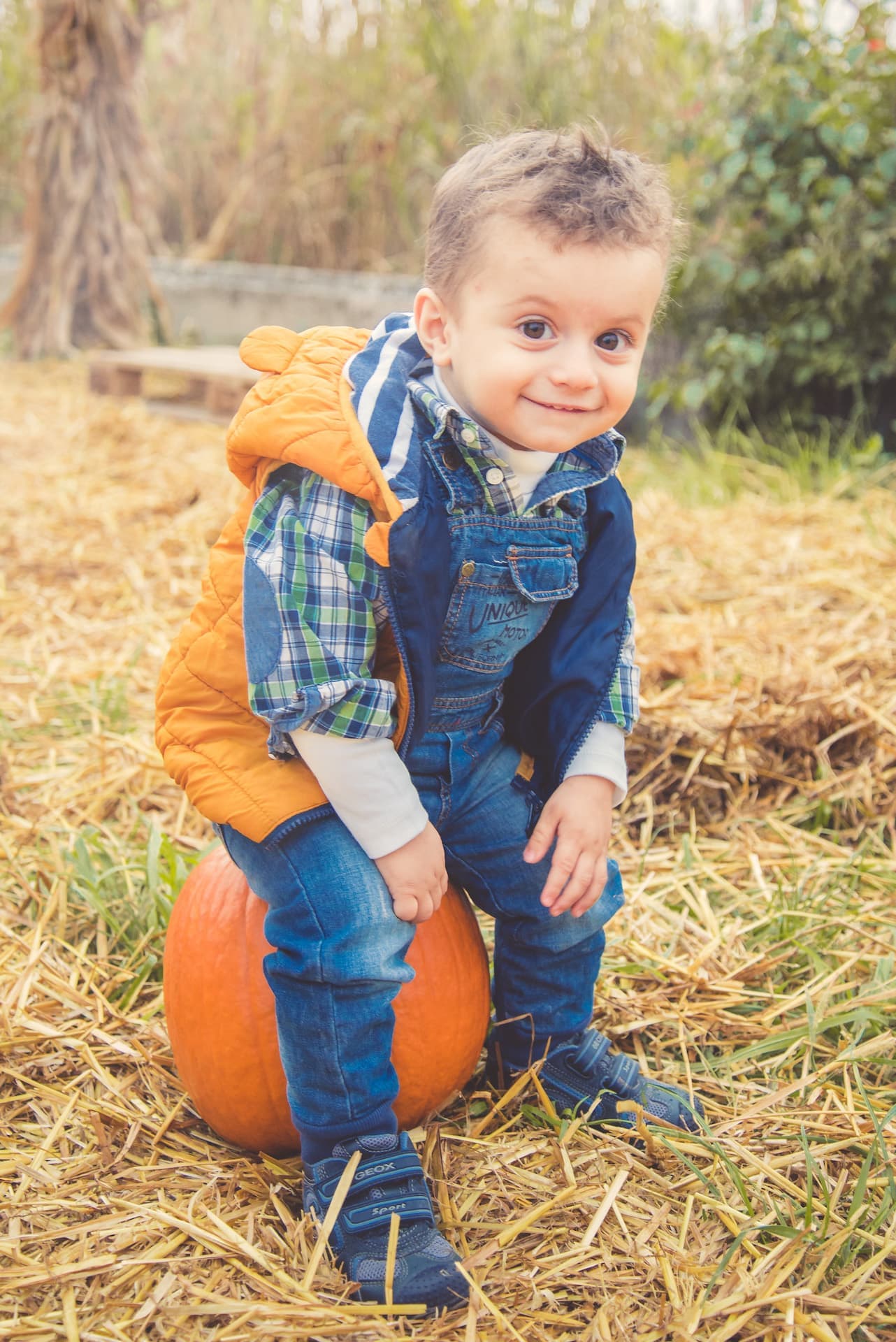 bambino zucca nonno andrea
