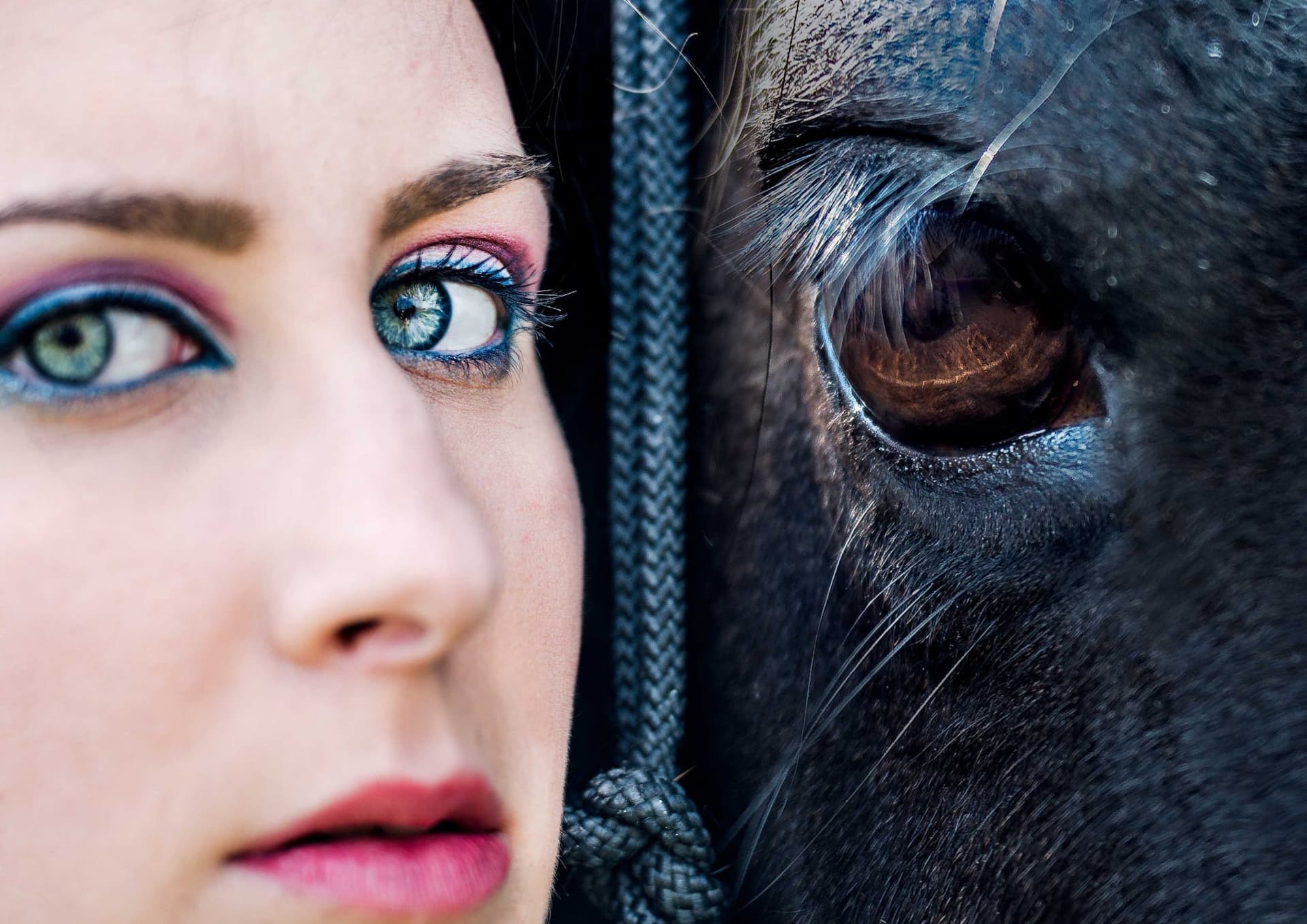 primavera ragazza cavallo nero occhi primo piano