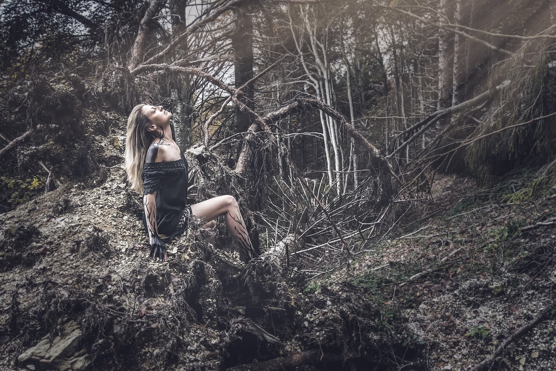 ragazza albero vaia distruzione guarda in alto alberi