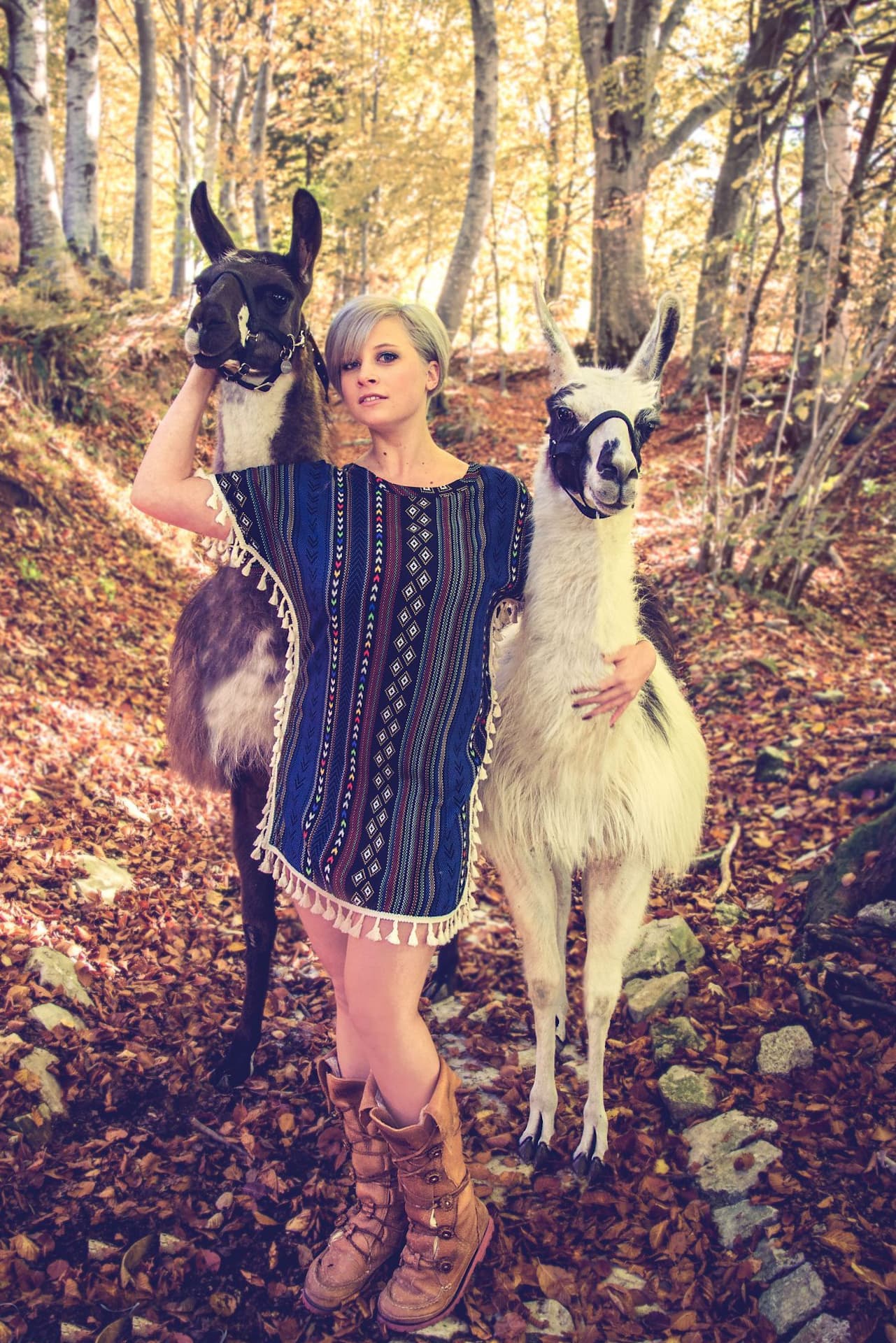 ragazza lama bosco autunno