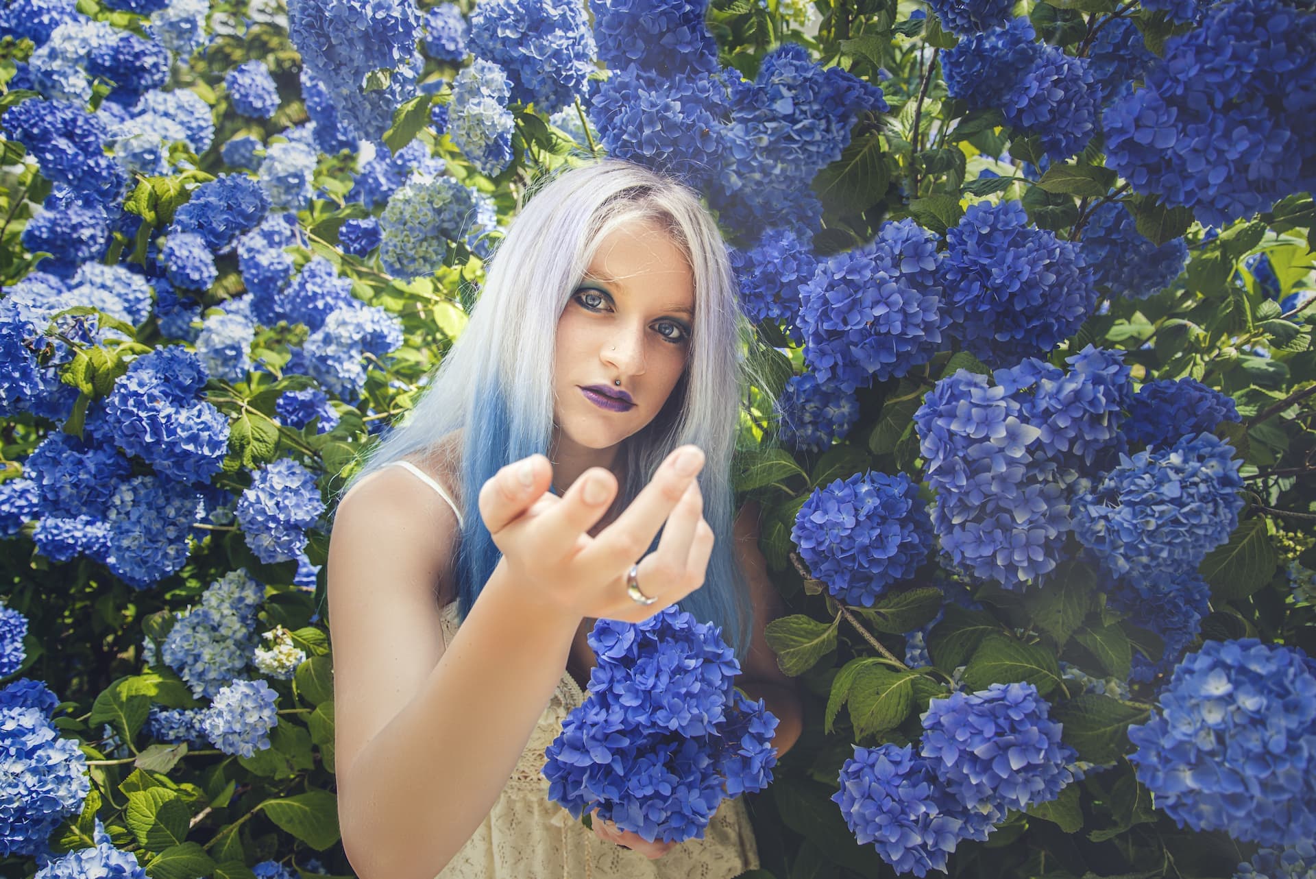 ragazza vestito bianco ortensie blu orizzontale primo piano