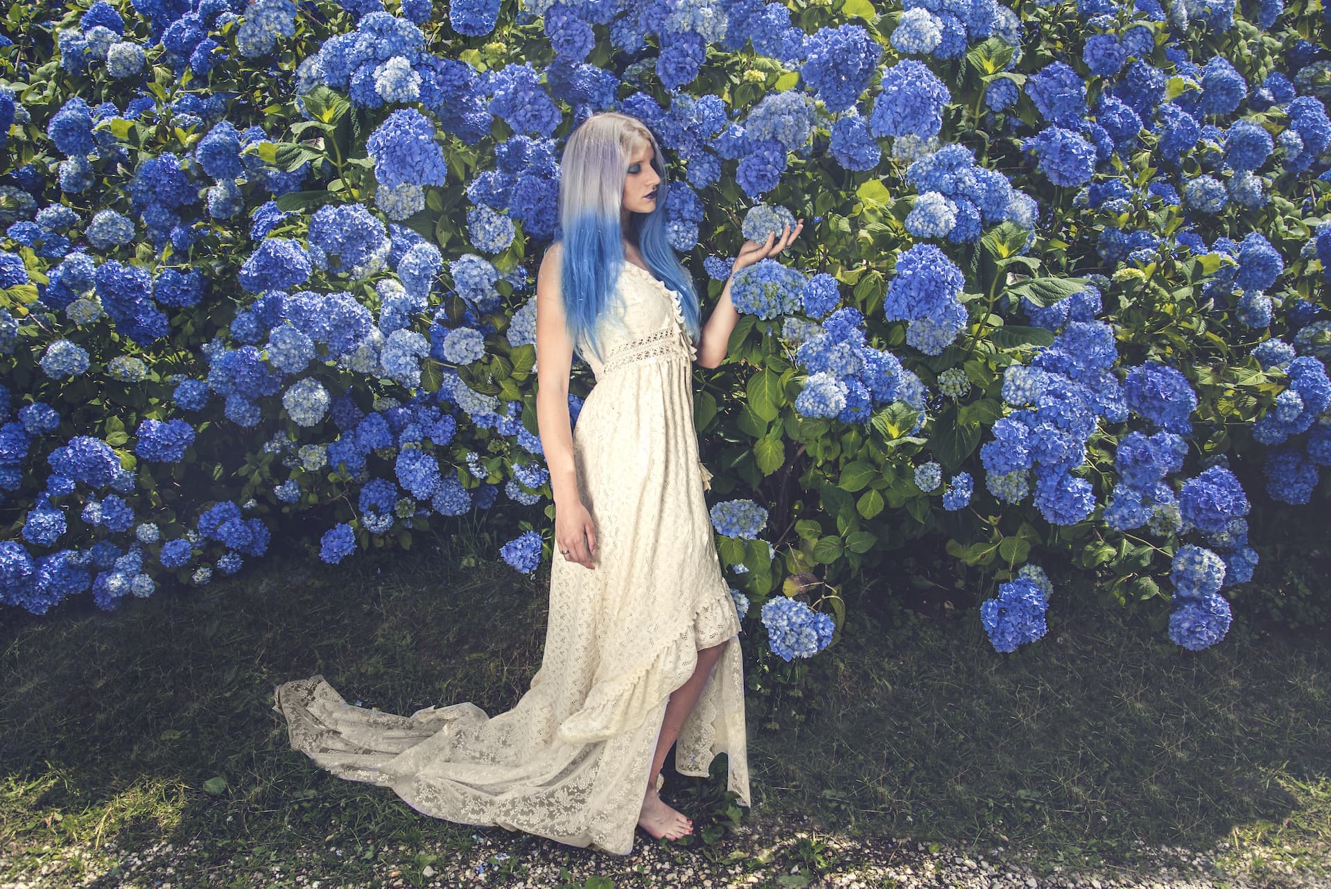 ragazza vestito bianco ortensie blu