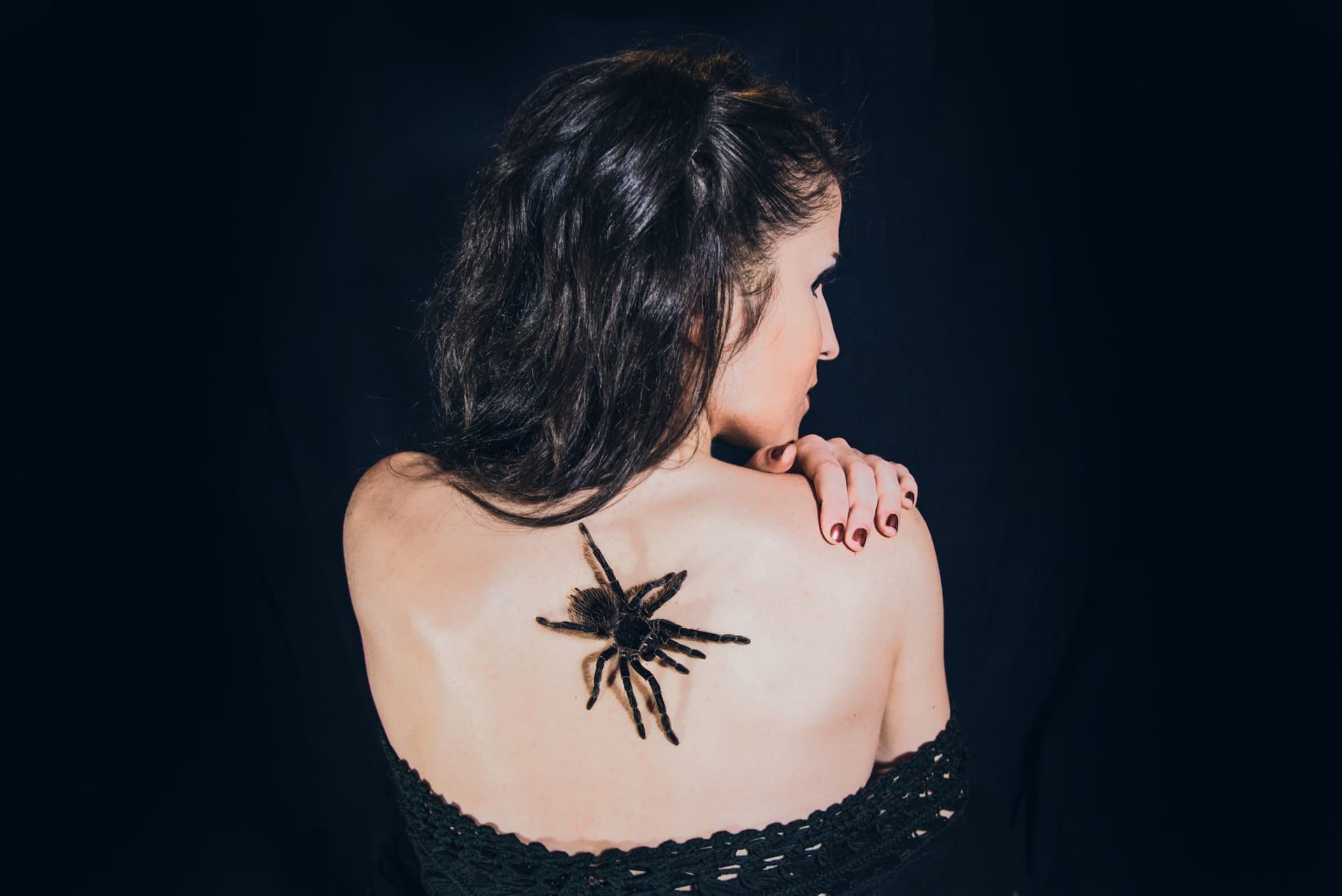 tarantola ragazza schiena nero