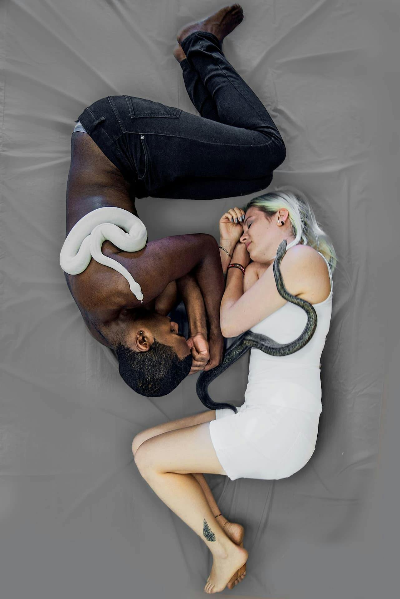 bianco nero opposti contrario serpente albino abbraccio