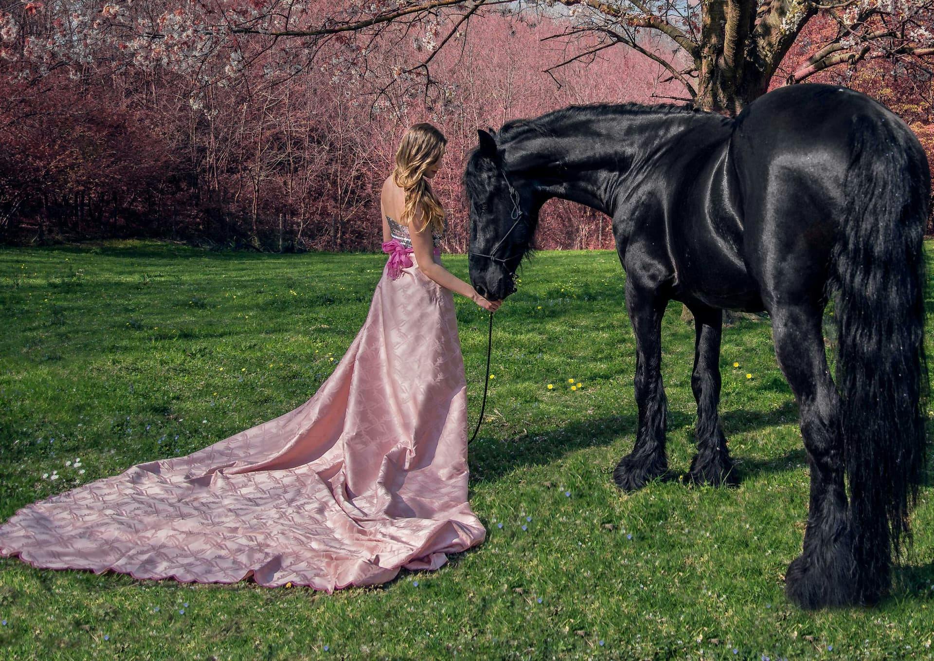 primavera ragazza cavallo nero vestito rosa pesco